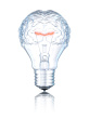 stock-photo-19969386-light-bulb-brain