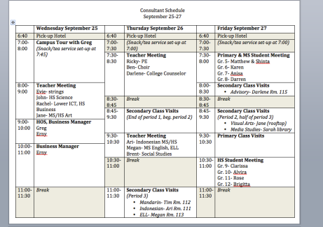 consultant schedule p1